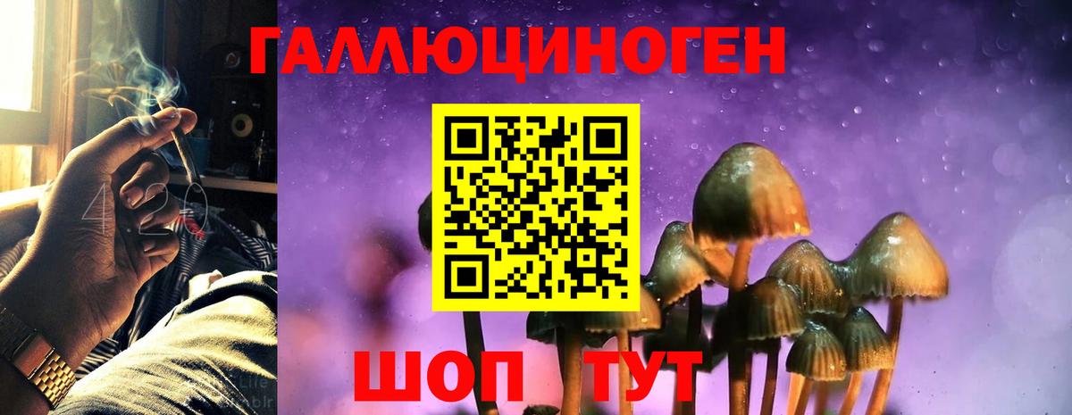 Галлюциногенные грибы ЛСД Чапаевск